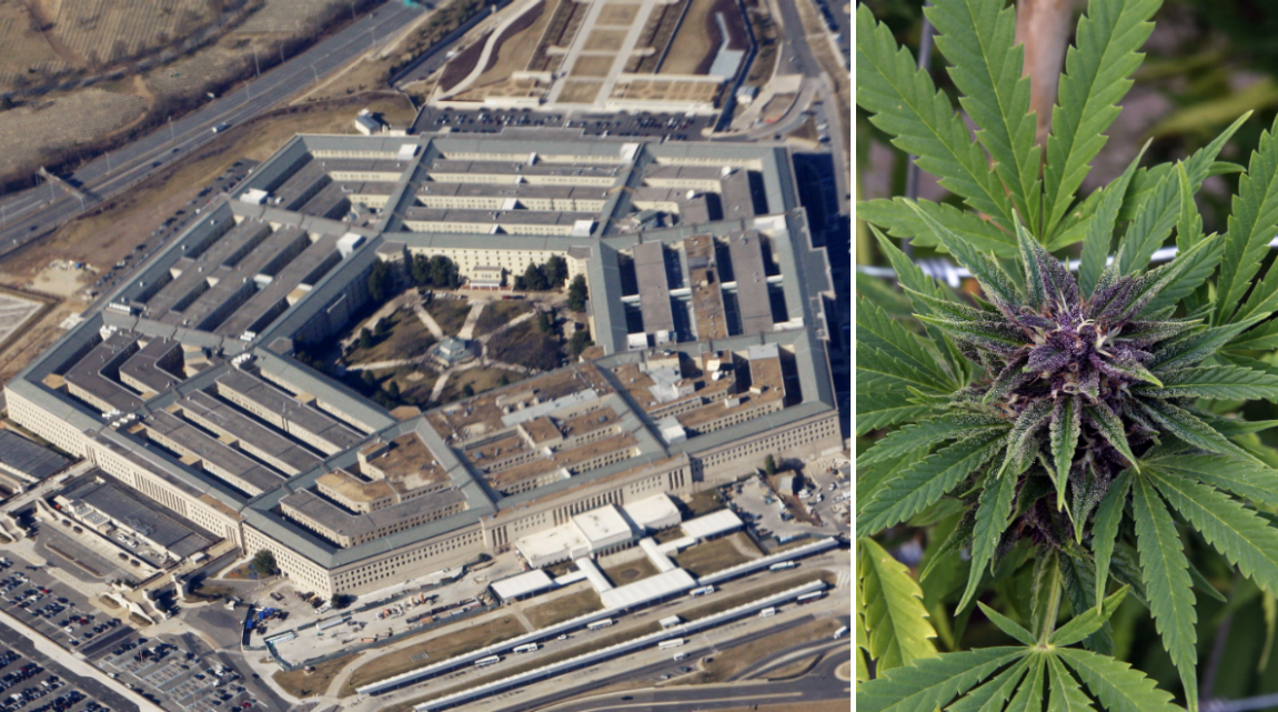 Pentagon, Marijuana, USA, Militären, Brott och straff